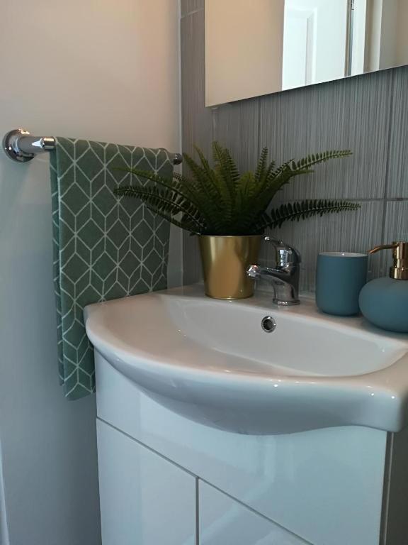 Guesthouse Smart Bucharest Luaran gambar