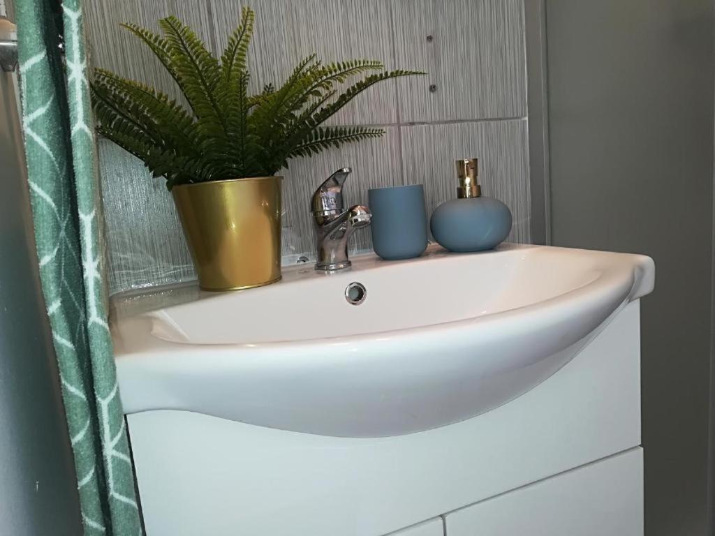 Guesthouse Smart Bucharest Luaran gambar
